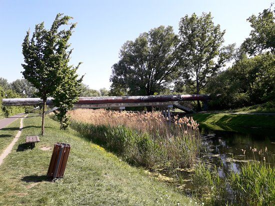 Park Kępa Potocka