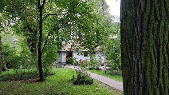 Kawiarnia Cukiernia Misianka
