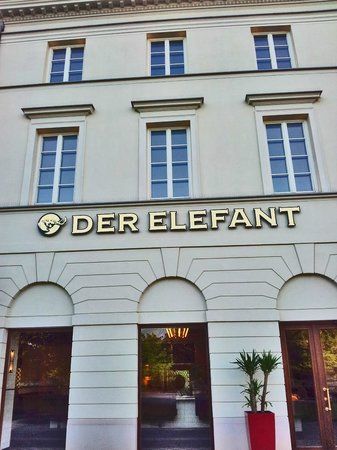 Der Elefant